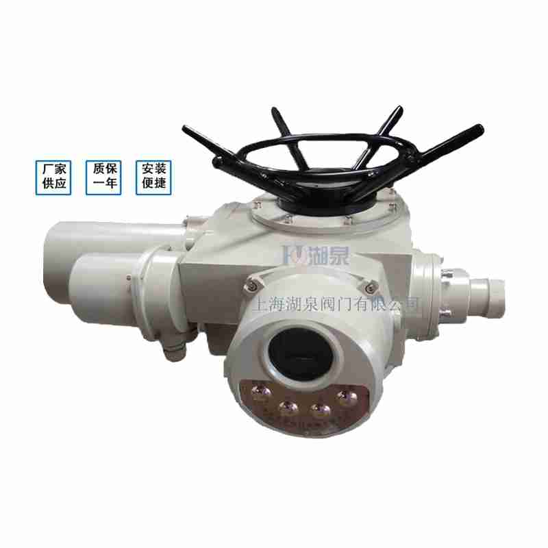 閥門電動裝置（dzw05,10,20，30,45,60，90,12