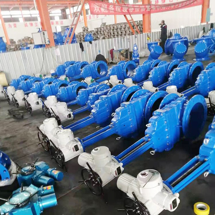 電動(dòng)不銹鋼閘閥